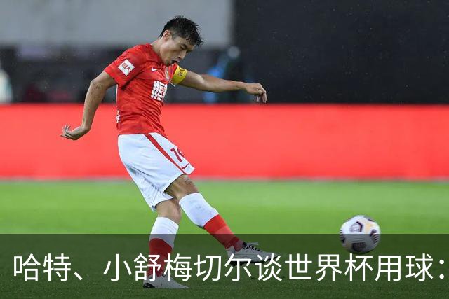 哈特、小舒梅切尔谈世界杯用球：这球肯定有问题，远射太多了